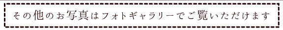 その他の写真はフォトギャラリーでご覧いただけます